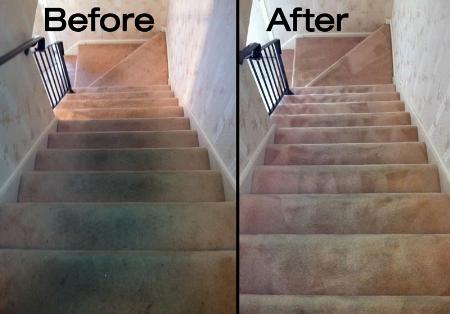Optus Carpet & Upholstery Cleaning Services - Calgary, AB T3J 1Y4 - (587)719-2469 | ShowMeLocal.com